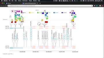 Generate and modify interactive plot Figure 1B using trackViewer