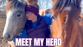 Relaxing Day on the Farm with All 10 Horses-Plus Updates! by Free Spirit Equestrian 56,557 views 2 months ago 32 minutes