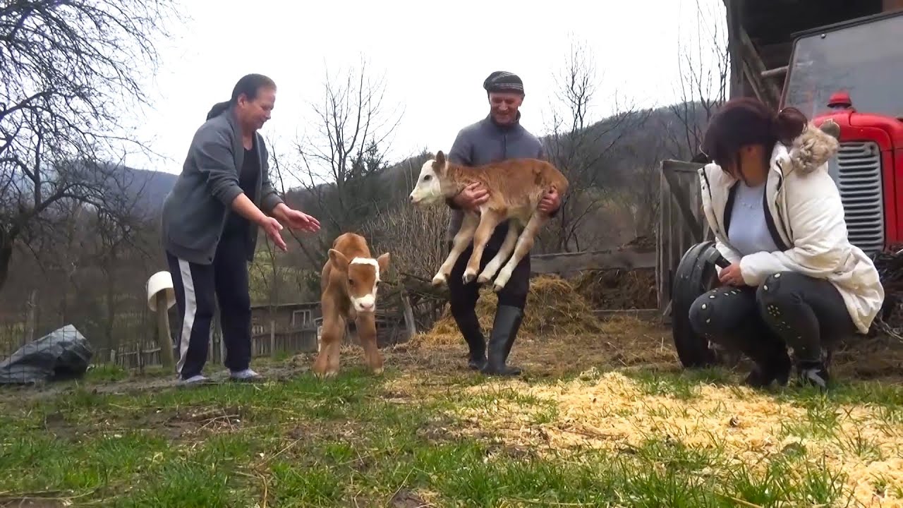 RADIM VIŠE NEGO MLADIĆI OD 20 GODINA