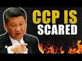 [Age Restricted] China&#39;s Tibet Crisis, How CCP Stole Tibet. CCP is Scared