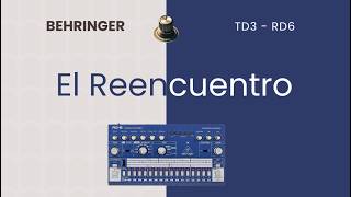 Behringer TD3 y RD6 - Desempolvando clásicos ácidos.