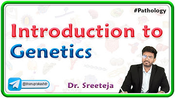 1: Introduction to Genetics | Pathology USMLE Step 1