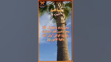 اللهم اِجعل القرآن الكريم ربيع قلوبنا ونور صدورنا و ذهاب أحزاننا 🤲#القرآن_الكريم #المصحف #اكسبلور