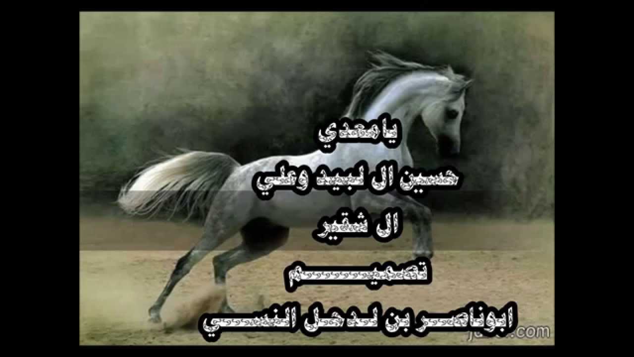 شيلة يامعدي ايقاع خاص