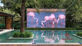 ELEMENTAR OUTDOOR | Giant Screen on your backyard