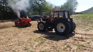 Orsi Anteo pulling !!!