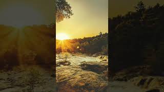 Download Lagu Jhonning - WHAT THE HILL. ( Riya Mondal) MP3