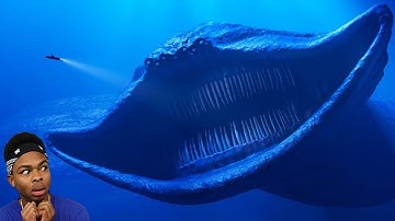 Terrifying Sea Creatures Caught On Camera Experts Can