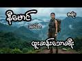 နီမောင် နှင့် ထူးဆန်းသောခရီးကြမ်း - စဆုံး