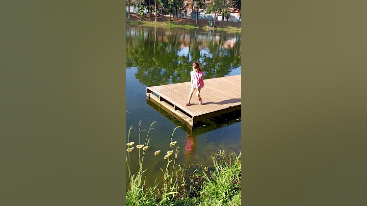 🦆 Pega os Patos