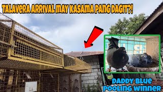 TALAVERA NUEVA ECIJA ARRIVAL NAKADALE NANAMAN NG POOLING SI 'DADDY BLUE'?!