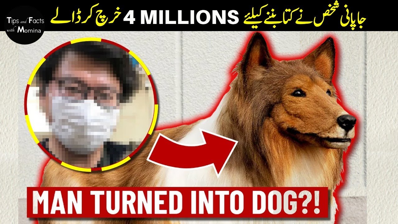 the-man-turned-into-dog-a-japanese-man-spends-2-million-yen-to