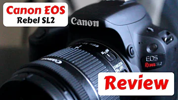 Canon Rebel SL2 (200D) Review! Best Budget Camera On YouTube?