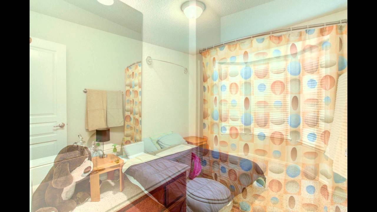 11938 Elijah Stapp YouTube