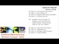 Andrius Mamontovas - Spalvoti Sapnai (albumo versija)