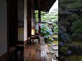 Rain &amp; Piano in Hydrangea Garden 💜 Summer Rain for Sleep &amp; Study