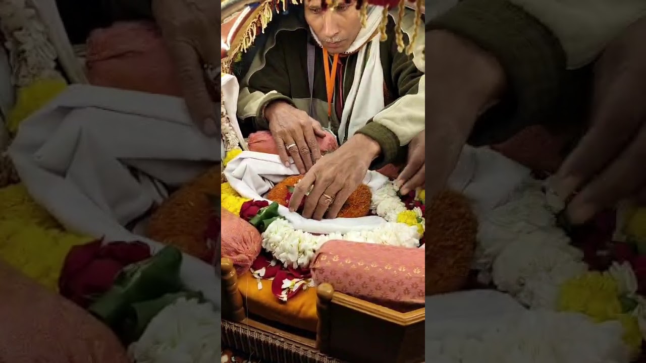 बरसाना - कारंजा सदगुरू नाना माऊली पालखी -  सदगुरू पालखीत विराजमान आणि भक्तांचा उत्साह