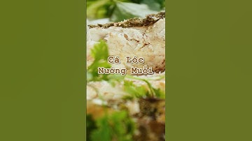 Món ăn đang hót mấy ngày nay - Cá Lóc Nướng Muối 🤤 #shorts #amthuc #calocnuong