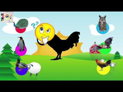 con gà, con chim cú mèo, con công bóng là hình nào ?