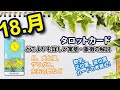 【🔰初心者向け】18.月/THE MOON(ムーン)徹底解説