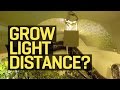 How Far Should My Growlight Be From My Plants?