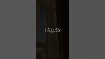 ياسر الدوسري - سورة لقمان #اكسبلور #قرآن #قران_كريم #ارح_قلبك #ياسر_الدوسري #راحه_نفسيه