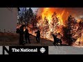 Wildfires tear through California leaving multiple people dead
