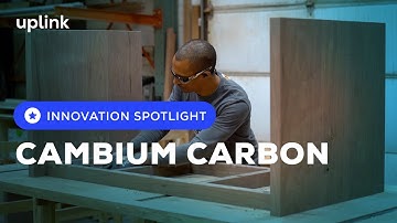 This start-up turns trees bound for landfill into wood products