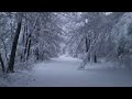 Trail running in a winter wonderland at lynn woods