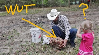 FARMERS HATE HIM! This WEIRD TRICK lets YOU grow TONS of Food (Literal TONS!) HINT: IT