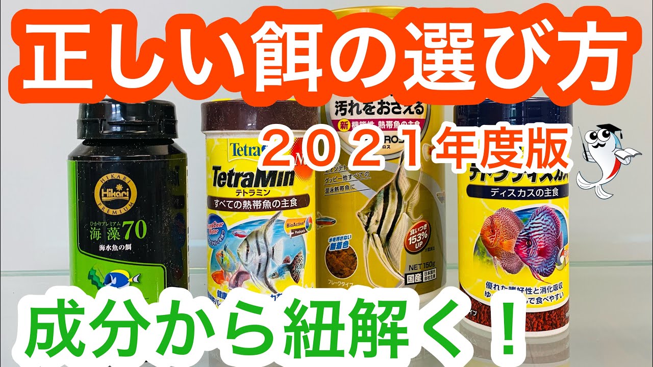 餌の成分比は超重要 熱帯魚用の餌を金魚やメダカに与えた時の影響とは Youtube