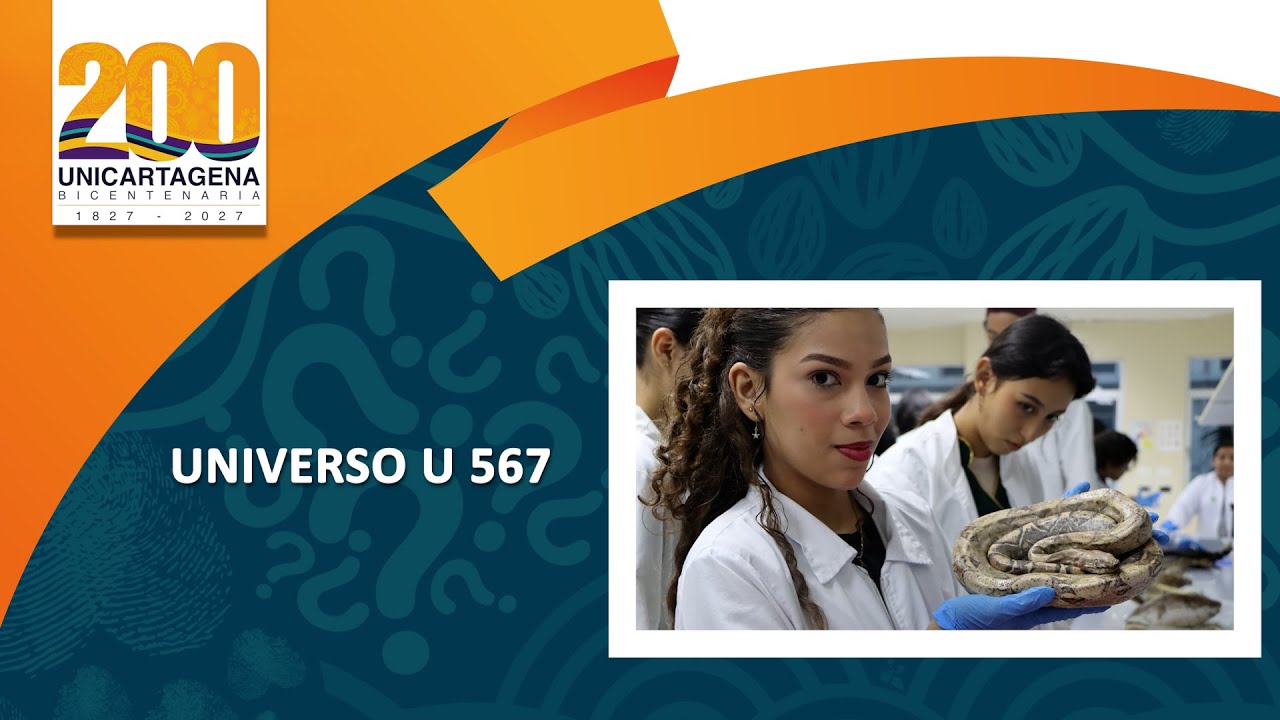 Universo U 567