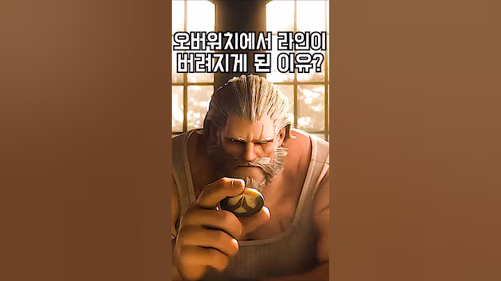 오버워치에서 라인하르트가 은퇴 당했던 진짜 이유!