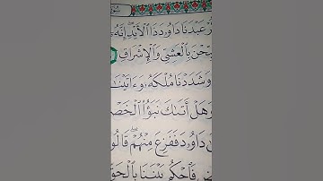 ما معنى "ذا الأيد "#سورة #ص