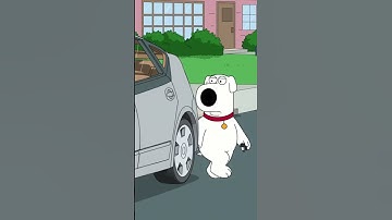 Family Guy in BeamNG!🐶🚗Brian