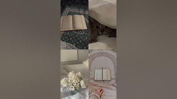 سورة الرعد       الشيخ علي جابر