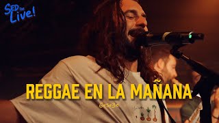Reggae en la Mañana - GeSeBé (Live at Jamboree)