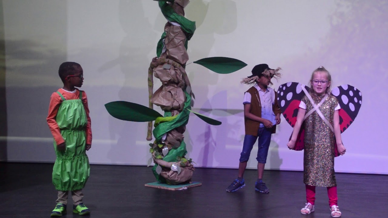 Jack and the Beanstalk Year 1