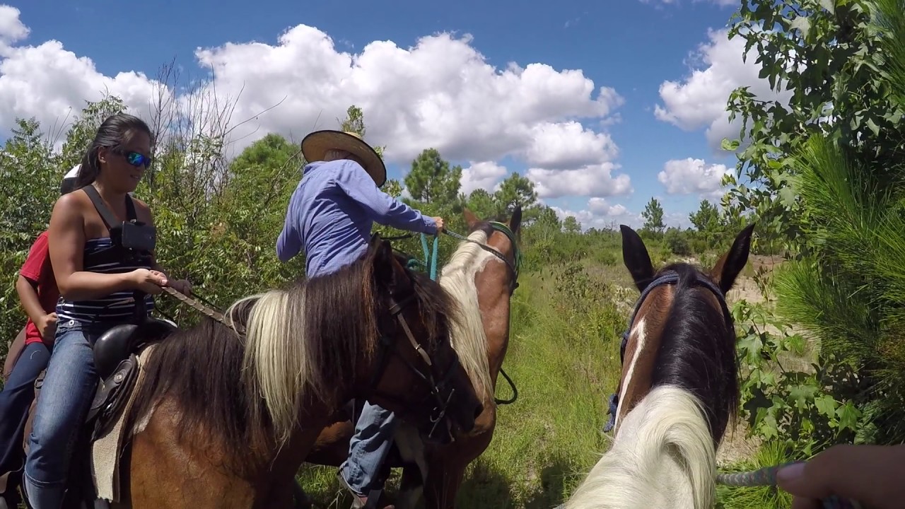 Go Pro Hero POV Horseback riding in North Carolina YouTube