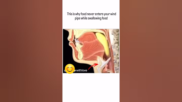 Title:Why Food Doesn’t Go Into Your Windpipe While Swallowing #anatomywithlove
