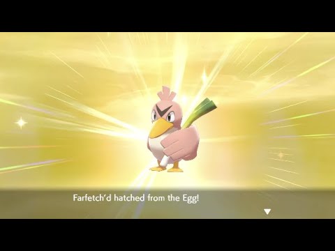 yokosion on X: Shiny Farfetch'd after 63,608 eggs hatched. This