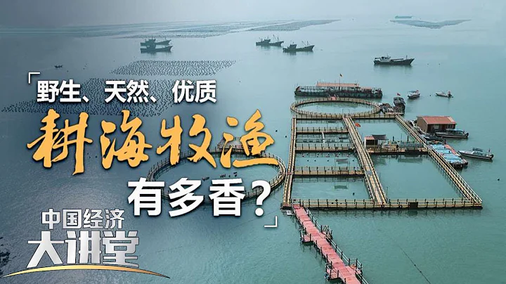 中国有哪些独具特色的海洋牧场？现代化的海洋牧场是如何打造的？「中国经济大讲堂」20230521 | 财经风云 - 天天要闻