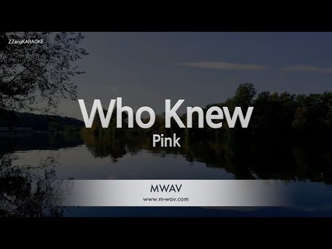 <strong>Pink</strong>-<strong>Who</strong> <strong>Knew</strong> (Melody) [ZZang KARAOKE]