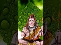 Om namah shivay 🏵️🏵️