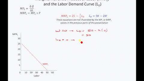 ECON 3100 2.5 - MRPL & Labor Demand