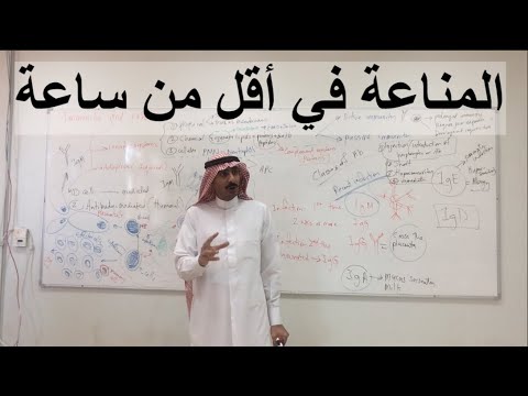 مختصر علم المناعة في أقل من ساعة