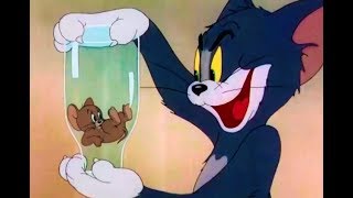 Https://goo.gl/xmsle7 subscribe tom and jerry english episodes - funny
cartoon the milky waif all rights reserved warner bros. entertainment.