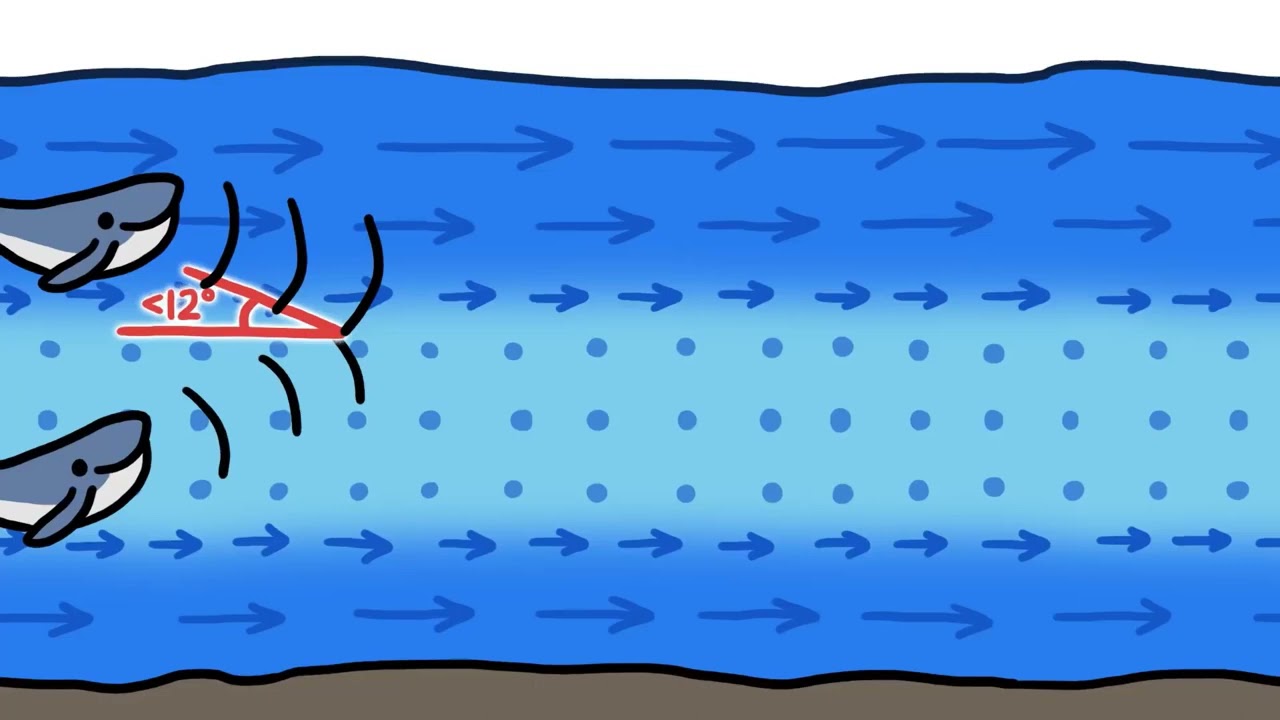 27 января 2025 г.