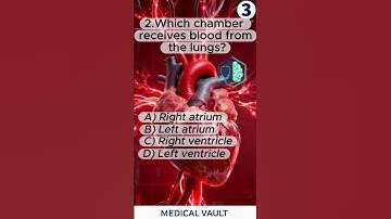 Can You Pass This Heart Quiz?