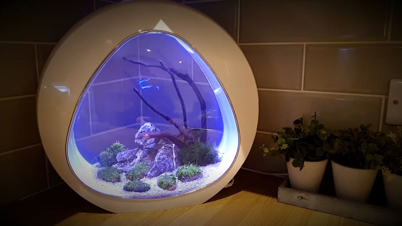 All Pond Solutions Nano Curve Acrylic Fish Tank Set Up Guide YouTube